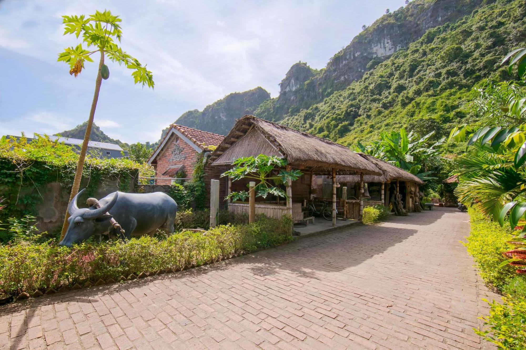 Viet Hai Lan Homestay Trung Trang Kültér fotó
